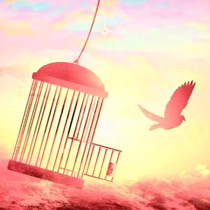 Audio To Let Go Of The Past