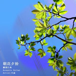 El Condor Pasa（老鹰之歌）（翻自 秘鲁民歌）