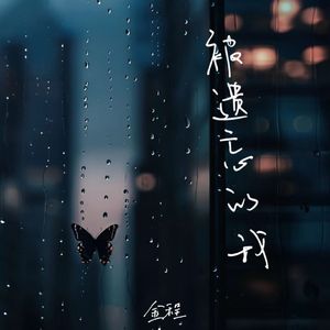 被遗忘的我 伴奏