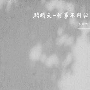 鹧鸪天-何事不同归