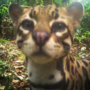 sleeping (feat. yuke)