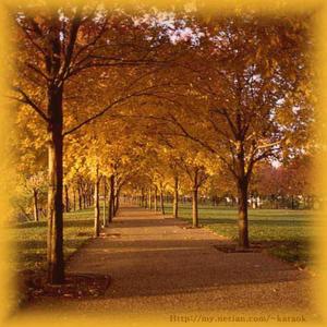 当第一场雪降落