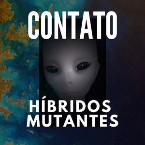 Híbridos no Poder