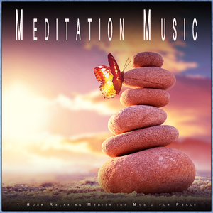 Meditation Music Experience