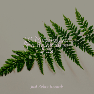 Enchantment's Solitude