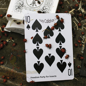 I Built a House For Frank Lloyd Wright