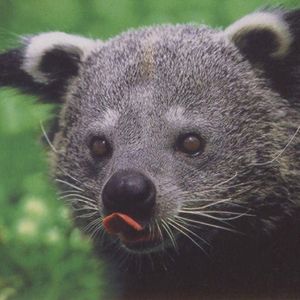 蓝天白云下梦随风起舞