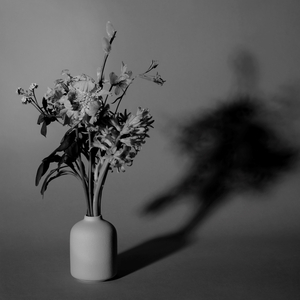 언제까지나 (Feat. 양다일)