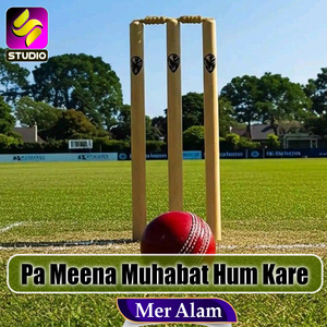 Pa Meena Muhabat Hum Kare