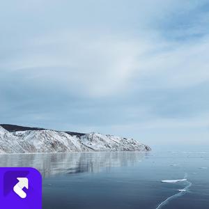 大货车与苹果树