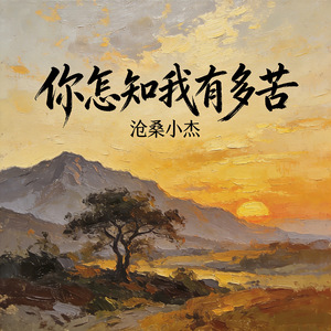 你怎知我的苦