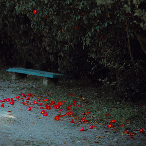 赤いピンヒール