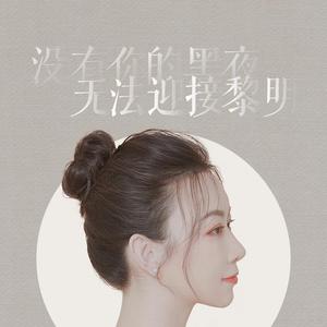 没有你的黑夜无法迎接黎明 伴奏