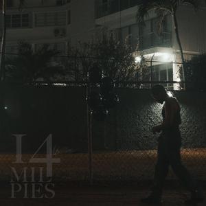14 MIL PIES