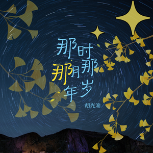 那时那月那年岁 伴奏