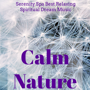 Meditations (Anti Stress)