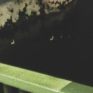 どこにも行けない