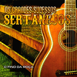 De Papo pro Ar