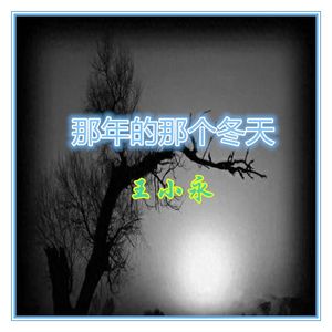 那年的那个冬天