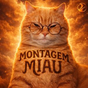MONTAGEM MIAU