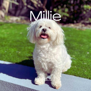 Millie