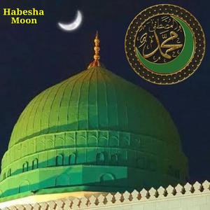 መዲና አዲስ መንዙማ | አሚር ሁሴን | መዲና ነሺዳ መንዙማ