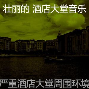 优美酒店大堂器乐