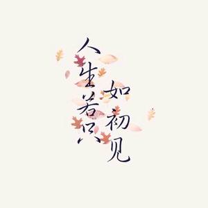人生若只如初见 伴奏