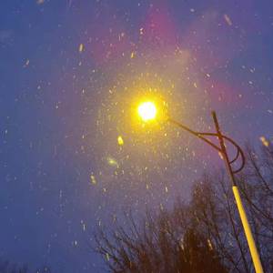 不属于我们的夏天