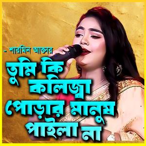 তুমি কি কলিজা পোড়ার মানুষ পাইলা না-Tumi ki Kolija Porar Manush Paila na (feat. শারমিন আক্তার & Sharmin Akter)