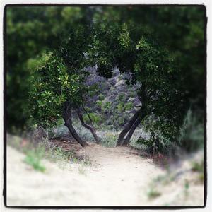 Lost Souls (feat. Nickelus F)