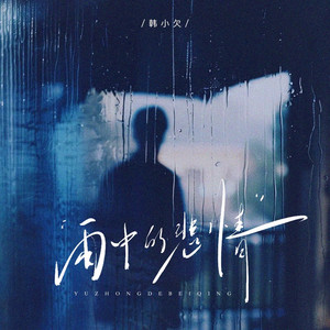 雨中的悲情 (韩小欠版)