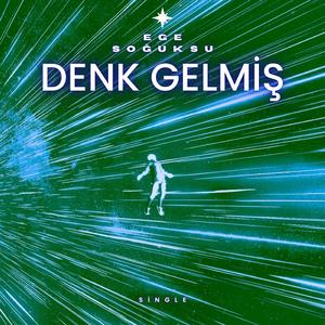 DENK GELMİŞ