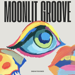 Moonlit Groove