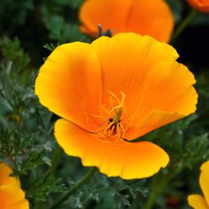 相遇在烟火灿烂时