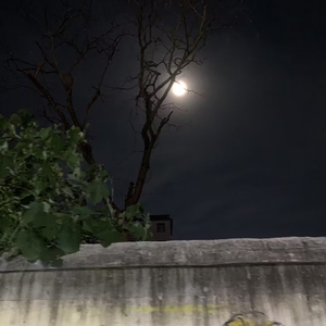 天涯孤客（翻自 周洁娃）