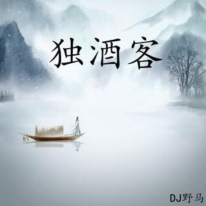 独酒客(DJ版)