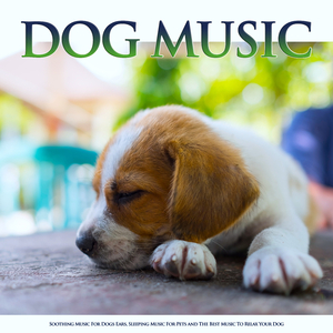 Pet Music