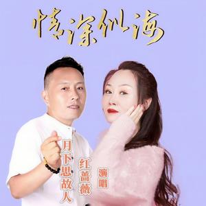 情深似海 (DJ默涵对唱版)