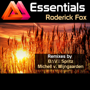 Essentials (Michell van Wijngaarden Remix)
