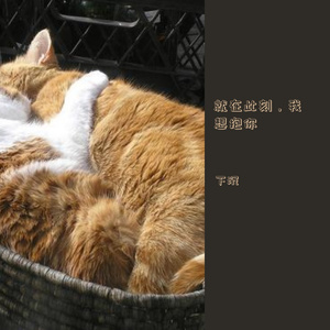 就在此刻，我想抱你