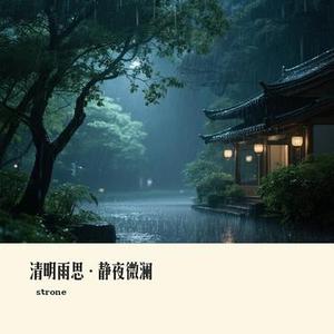 清明雨思·静夜微澜