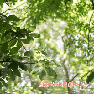 森林的時光7