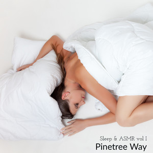 Sleeping Bag Zippers