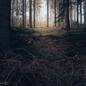 杨千嬅-爱的主打歌150(DJ Emperor)（DJ Emperor remix）