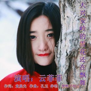 大兴安岭的雪花还在飘舞（云菲菲演唱）