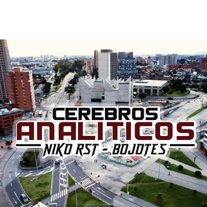 Cerebros Analíticos