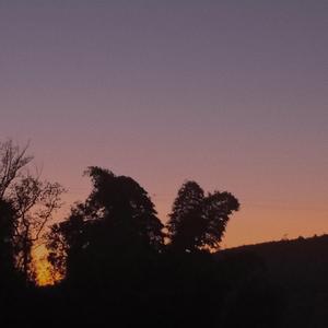 想把你留在这里