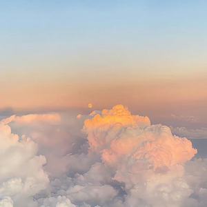 不动声色的大人