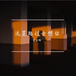流星路过会想你